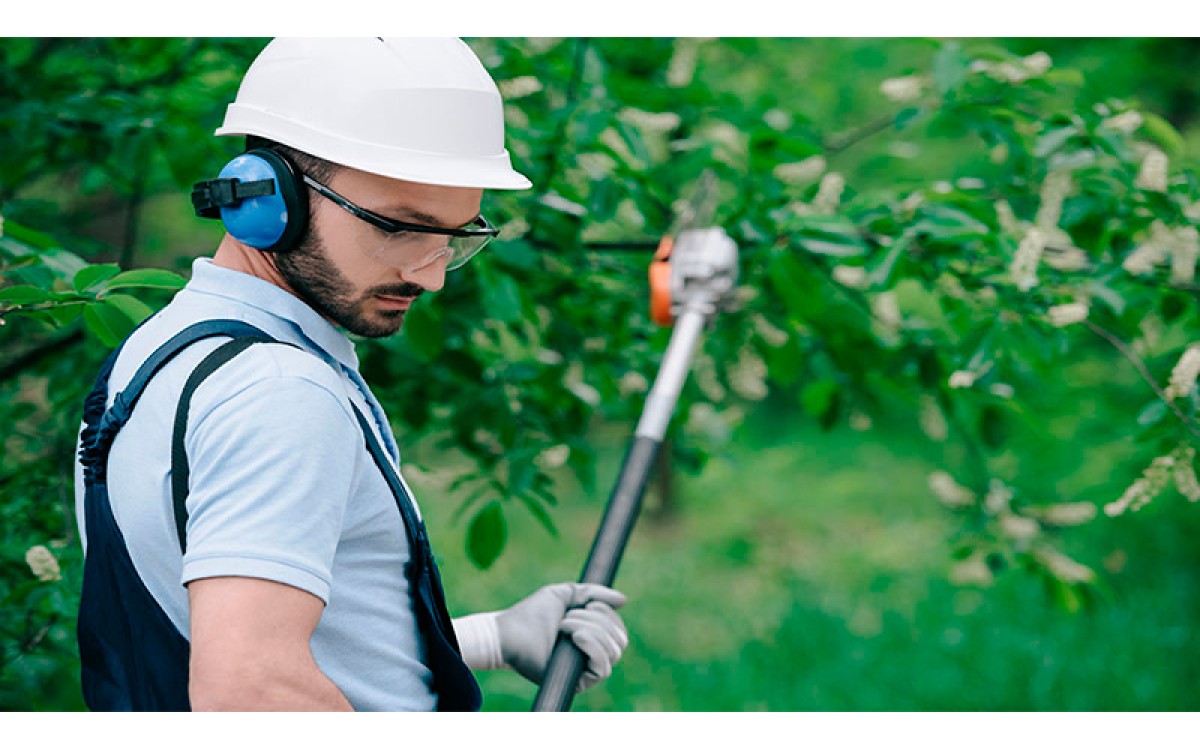 Porqué utilizar casco de seguridad para tus trabajos de poda