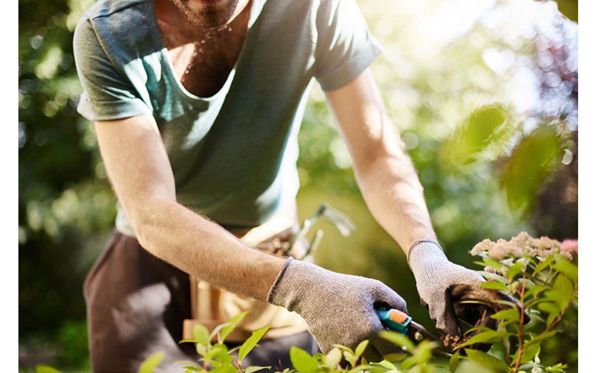 Consejos para preparar tu jardín esta primavera