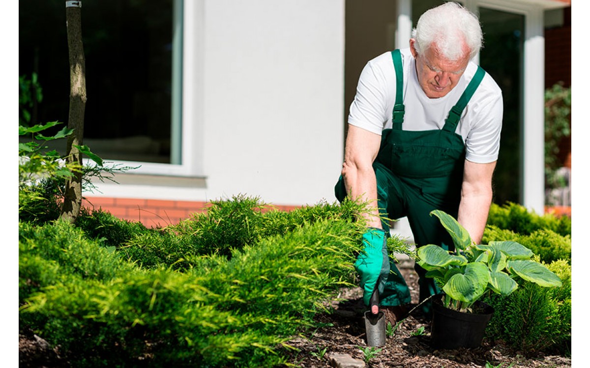 5 trucos para darle vida a tu jardín este verano