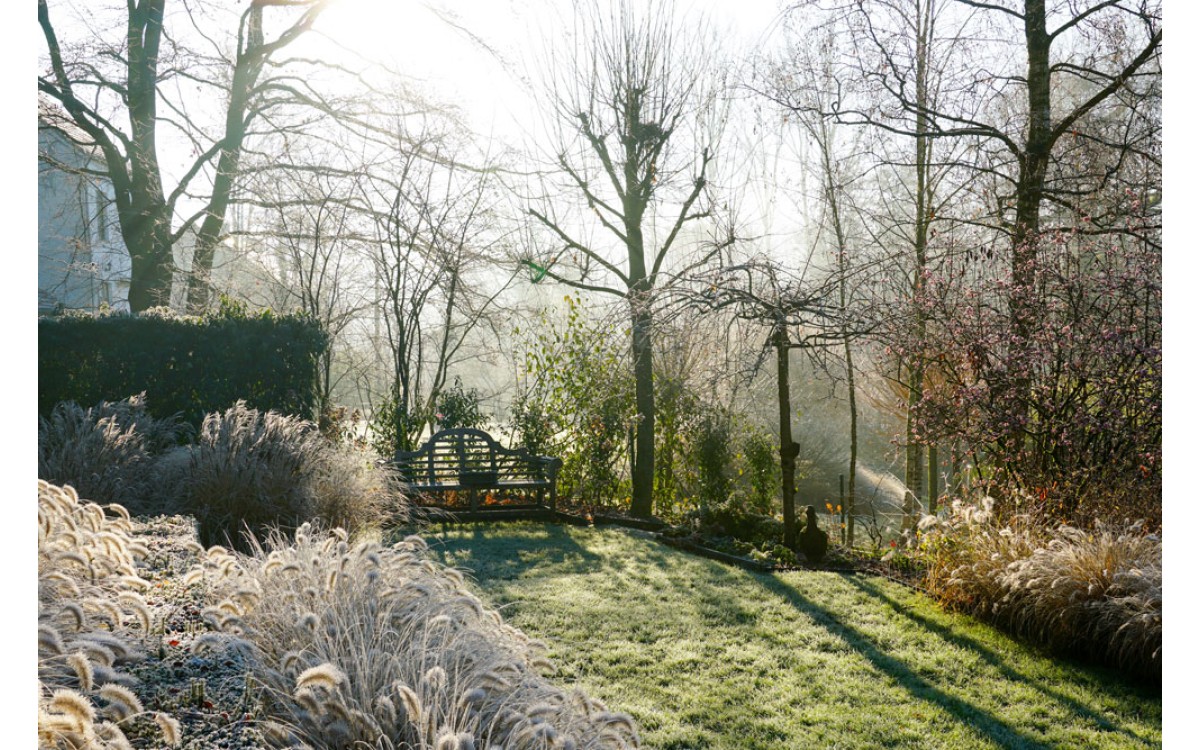Cuidados de tu jardín en invierno